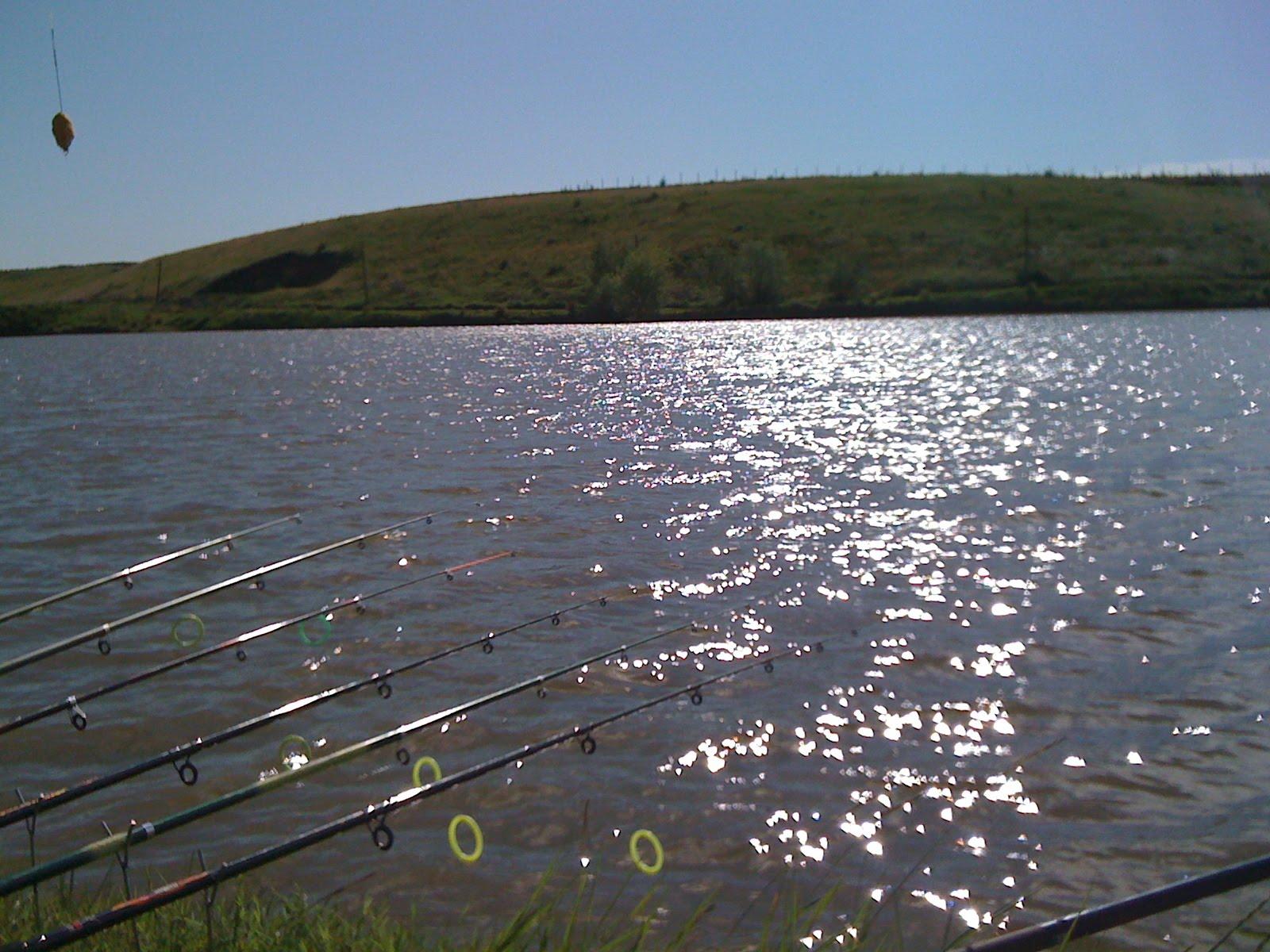 Nice :) - img0276.JPG